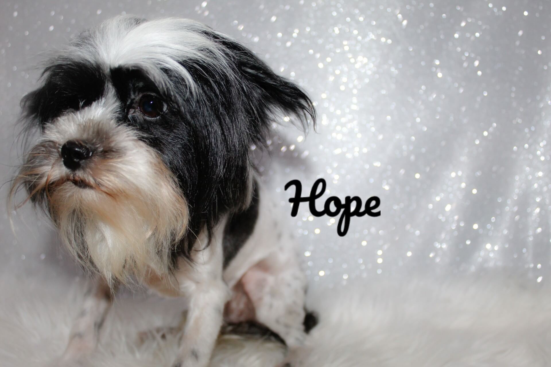 IMG_3442_Watermarked