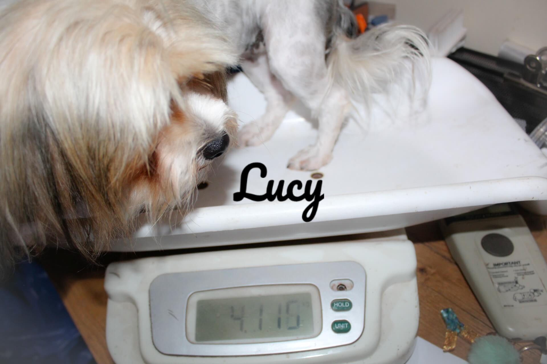 Lucy weight_Watermarked