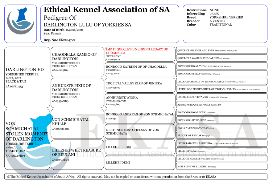 Screenshot 2025-11-26 180015