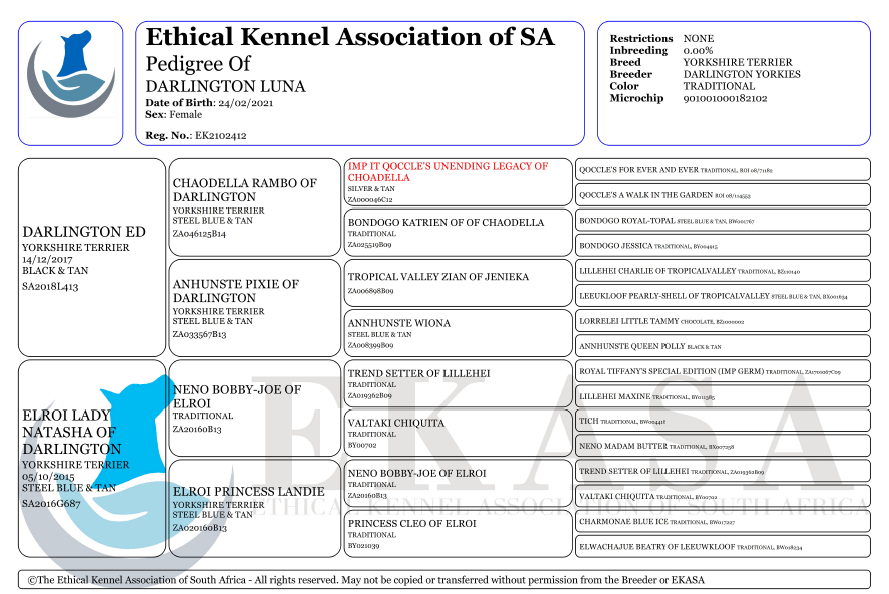 Screenshot 2025-11-26 180352