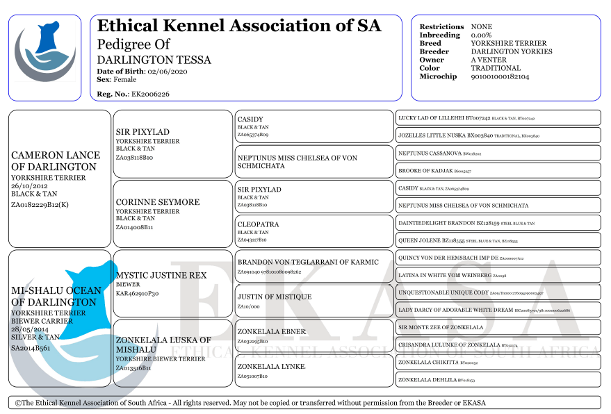 Screenshot 2025-11-26 181929