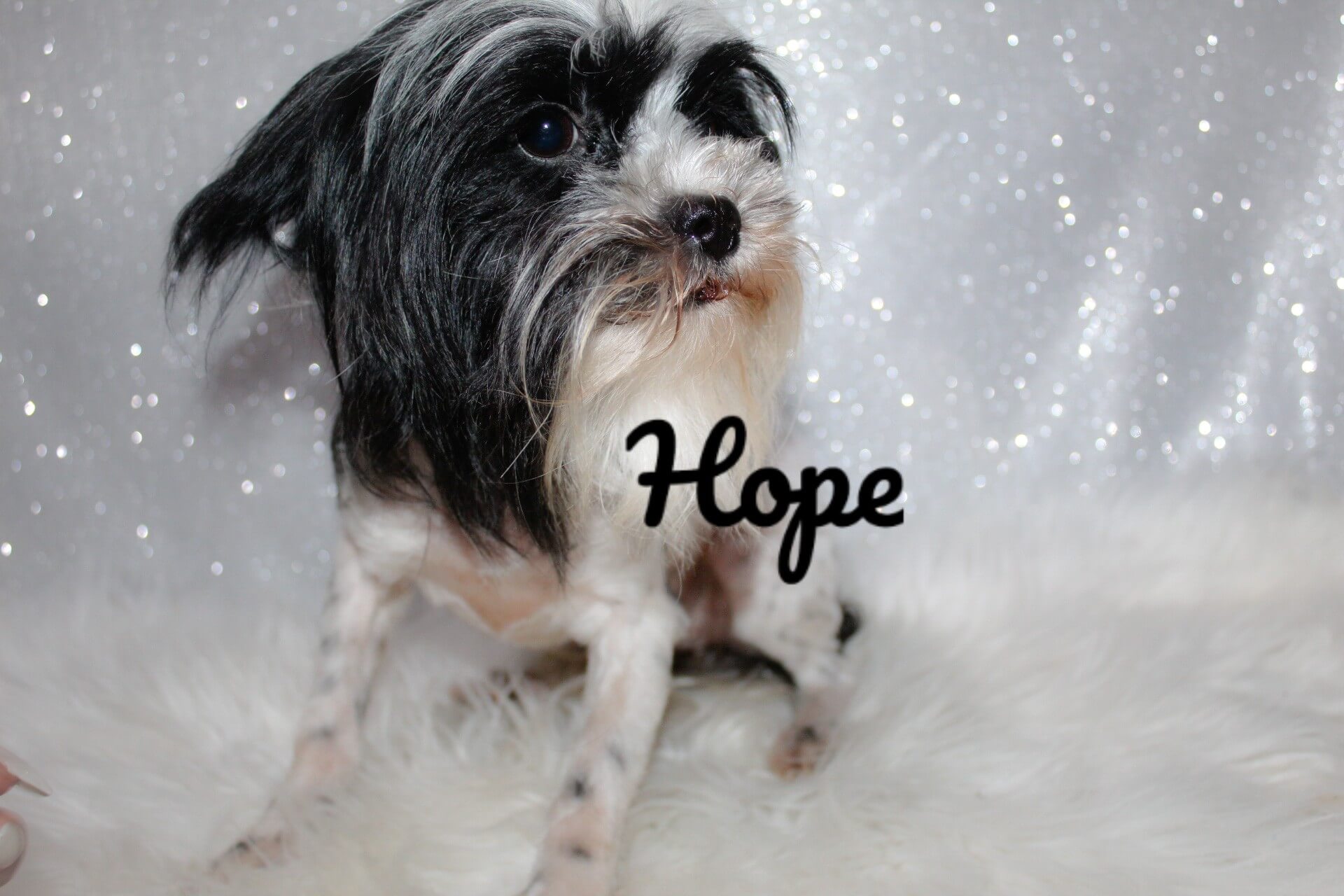 hope1_Watermarked