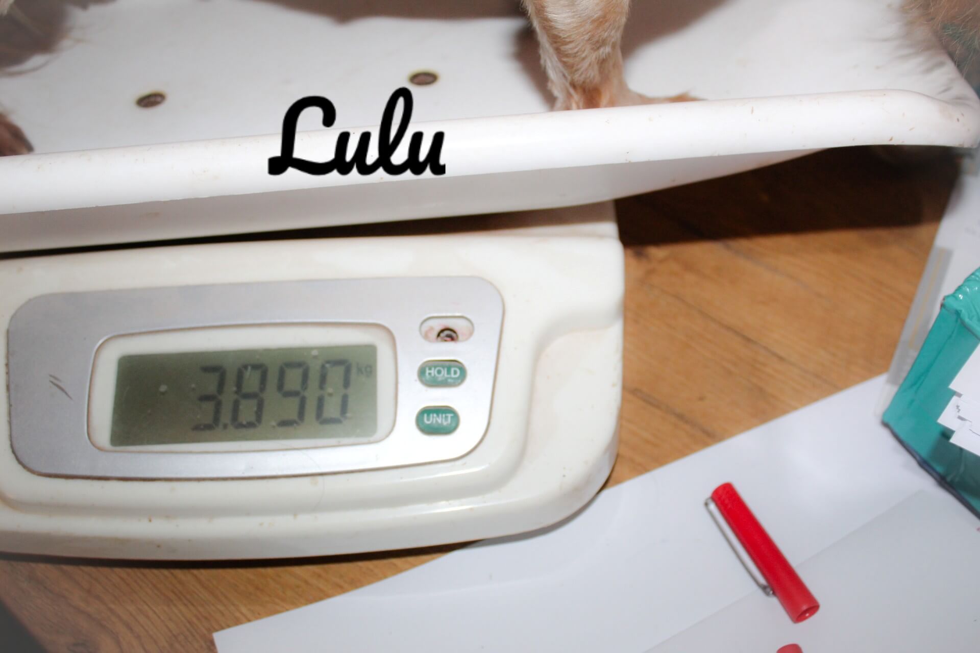 lulu weight_Watermarked