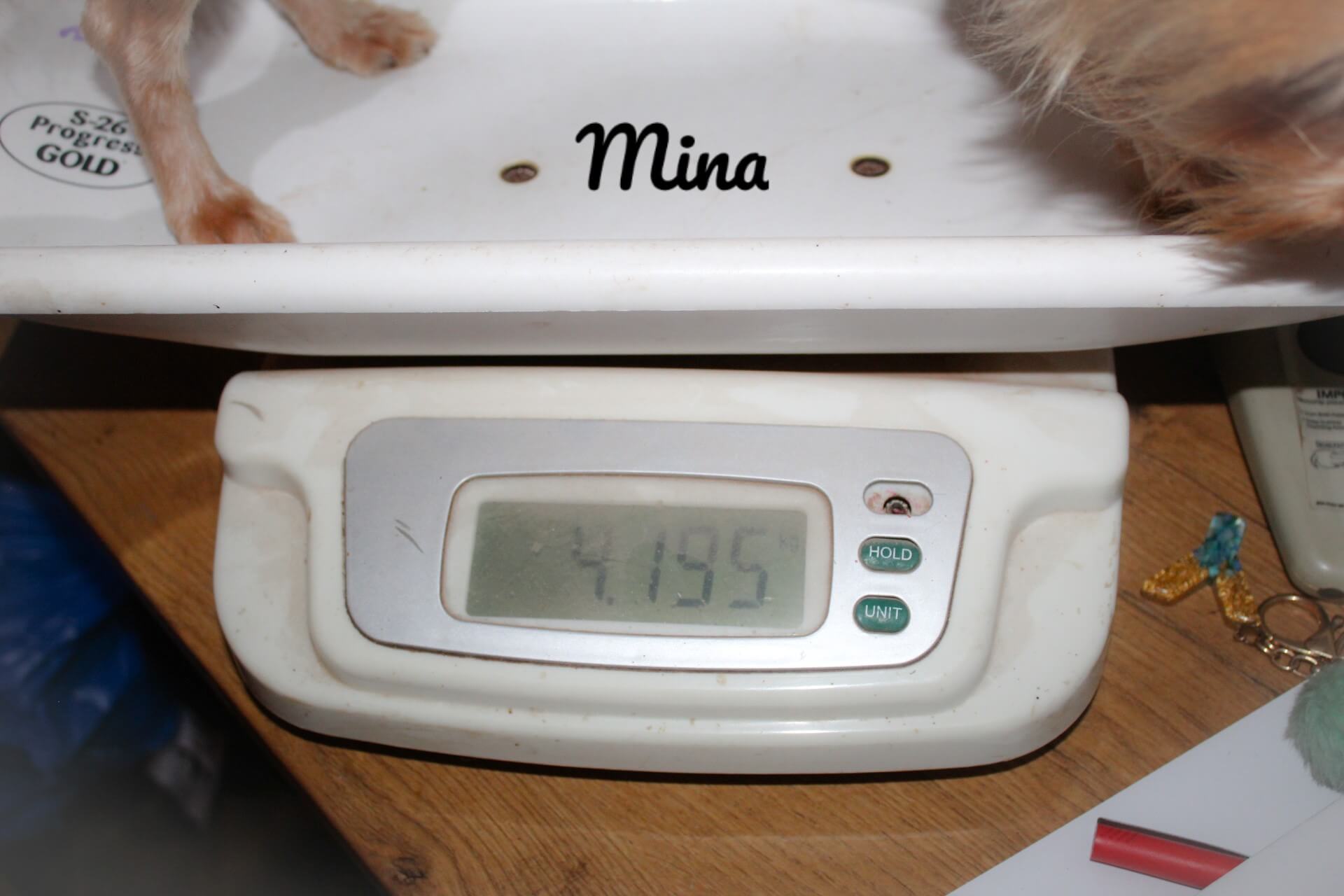 mina weight_Watermarked