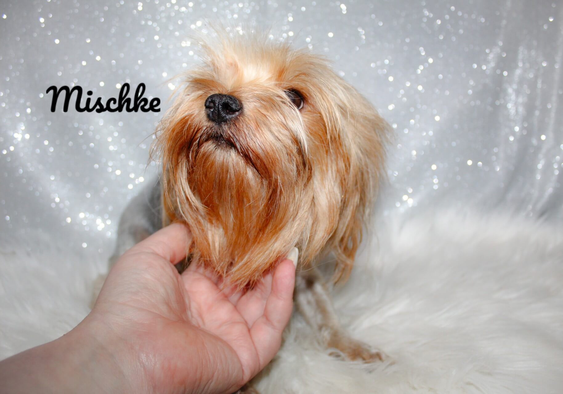 mischke2_Watermarked