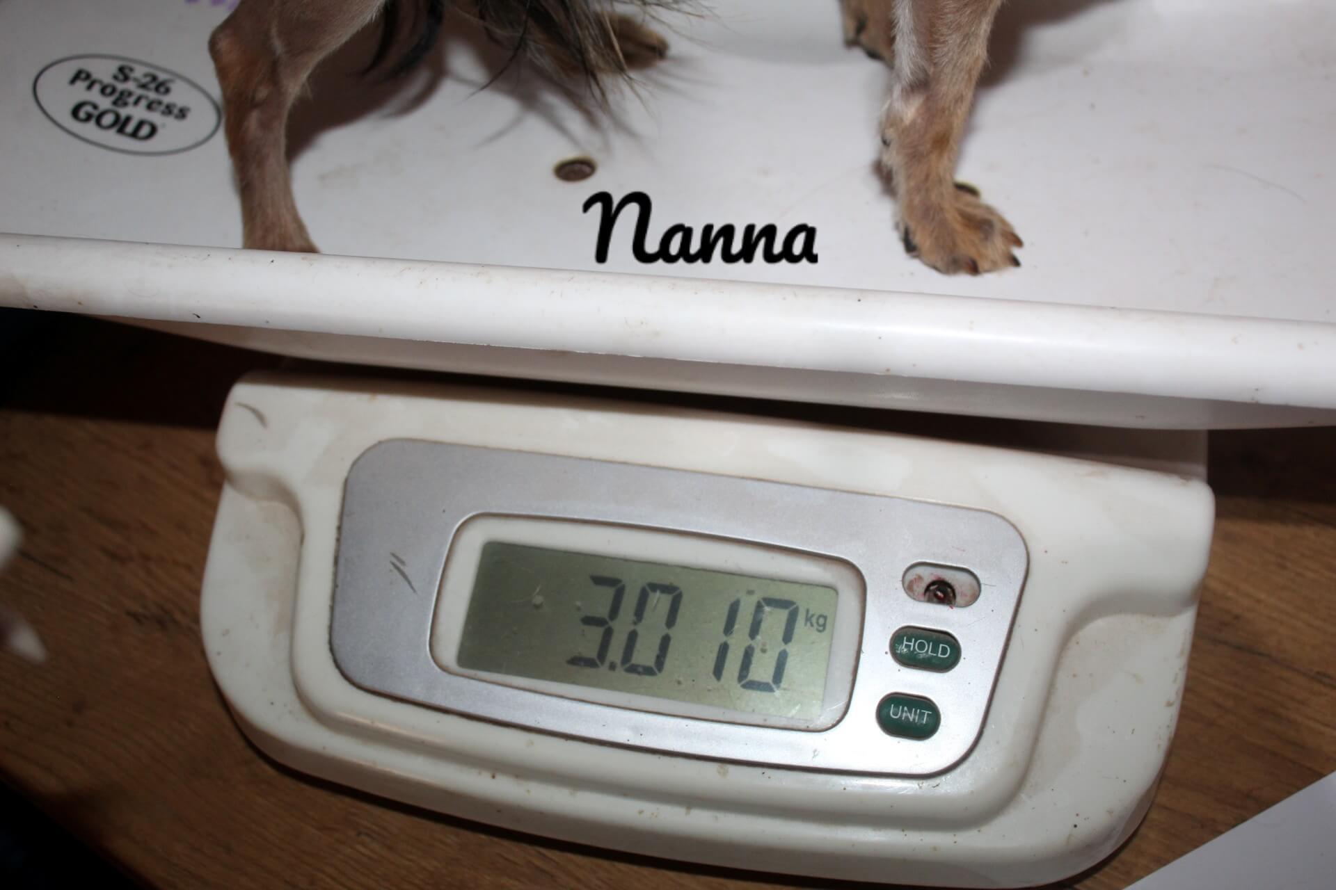 nanna weight_Watermarked