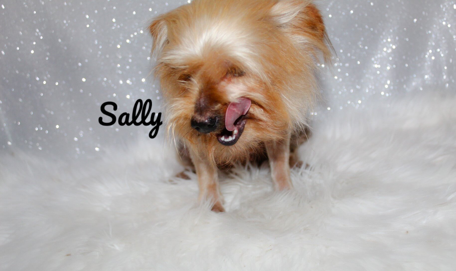 sally2_Watermarked