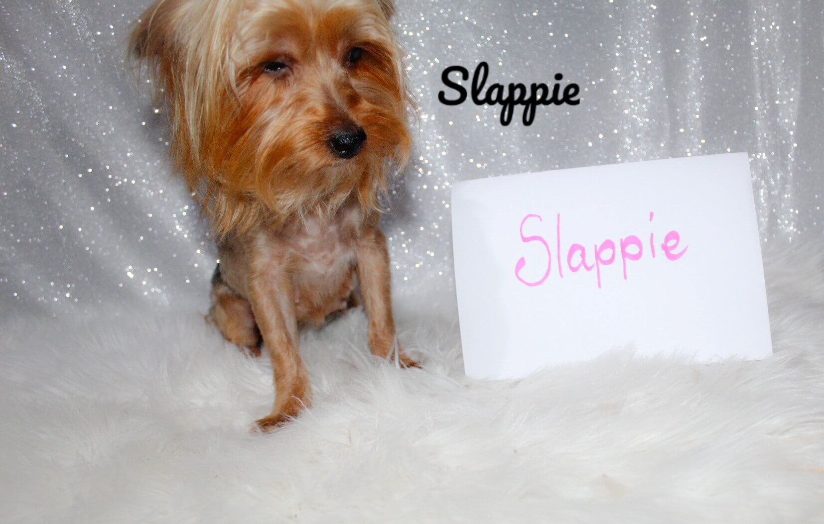 slappie1_Watermarked